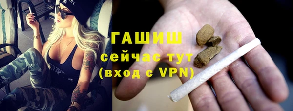 индика Верхний Тагил