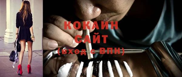 индика Верхний Тагил