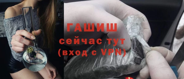 индика Верхний Тагил