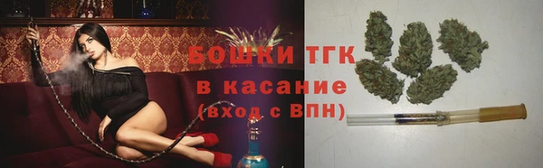 амф Верея