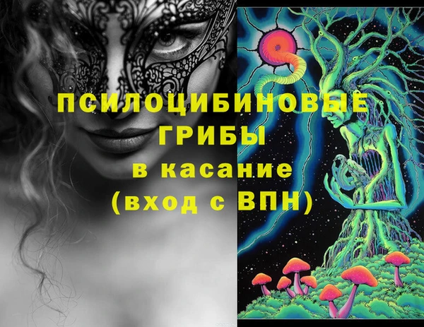 круглые Бородино