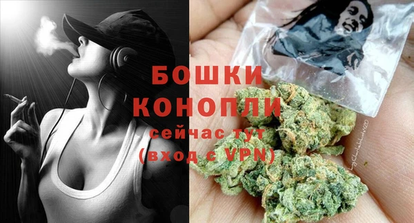 молекула духа Бугульма