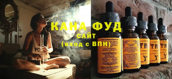 индика Верхний Тагил