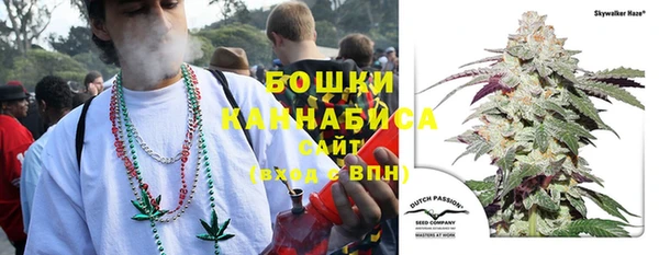 индика Верхний Тагил