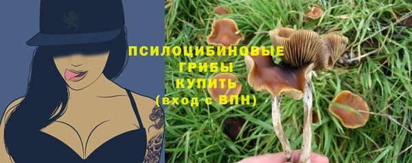 молекула духа Бугульма