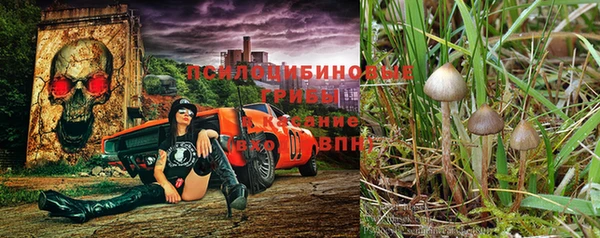 круглые Бородино