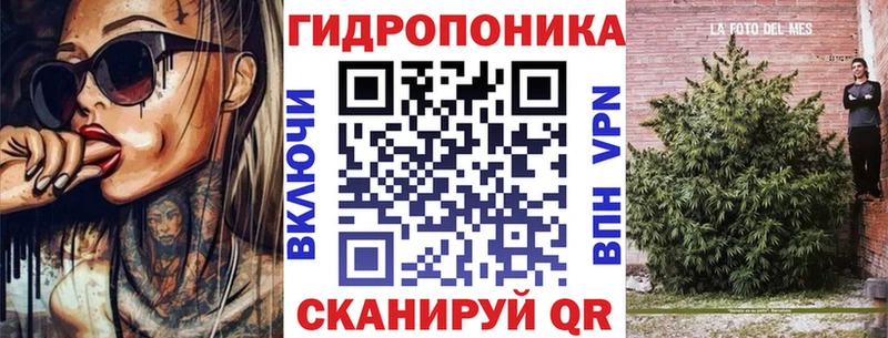 наркотики  Ростов  Марихуана планчик 